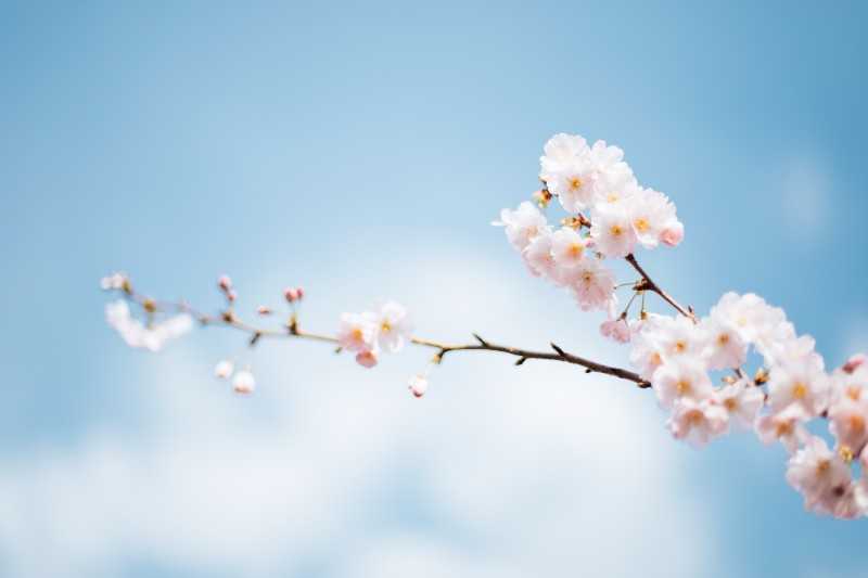 How to achieve sustainable growth