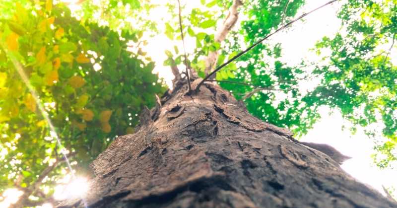 Funding the way to better business growth