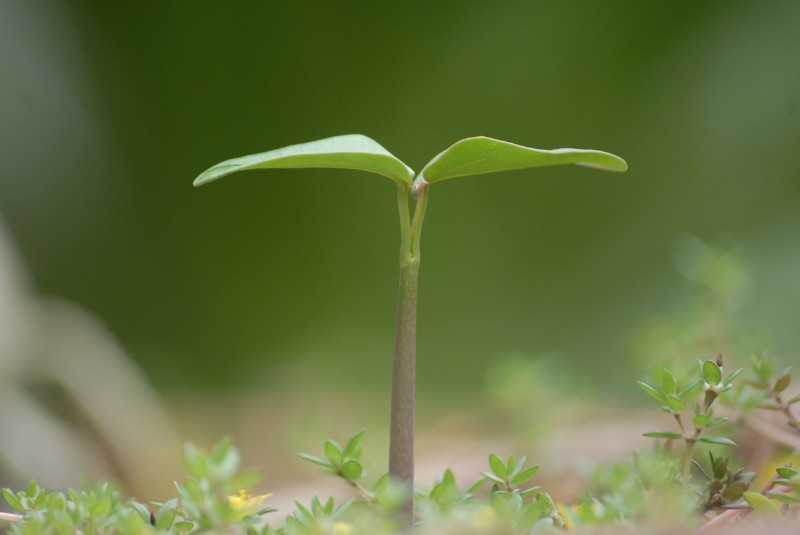 Securing the future of your business with growth finance